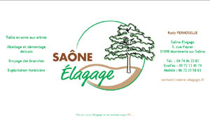 Saône Élagage – Rudy FERMOSELLE - RIEL